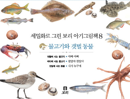 보리 아기그림책 8: 물고기와 갯벌 동물(세밀화로 그린)(보드북)(전3권)