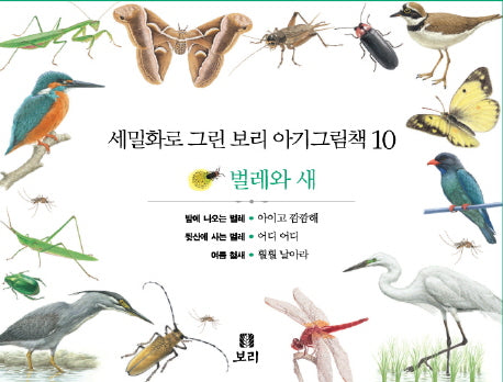 보리 아기그림책 10: 벌레와 새(세밀화로 그린)(보드북)(전3권)