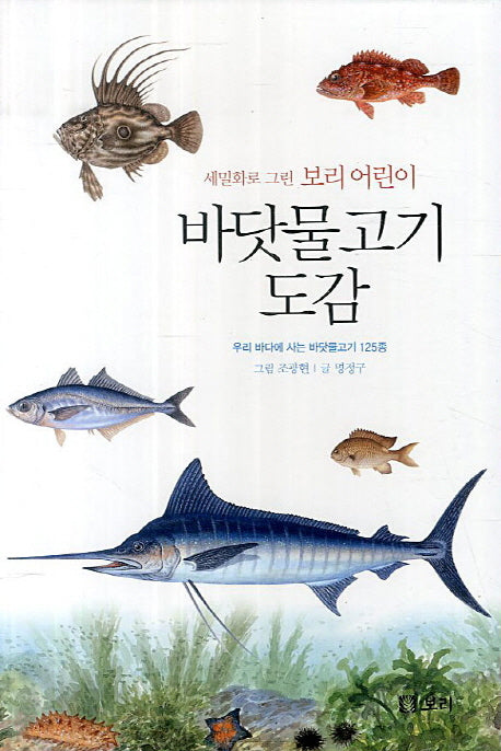바닷물고기 도감(세밀화로 그린 보리 어린이)(양장본 HardCover)