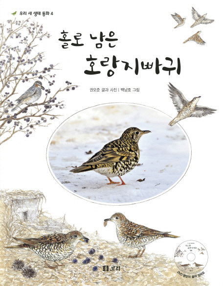 홀로 남은 호랑지빠귀(CD1장포함)(개똥이네 책방 16)(반양장)