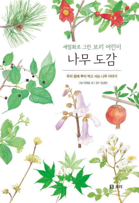 나무 도감(보급판)(세밀화로 그린 보리 어린이 4)