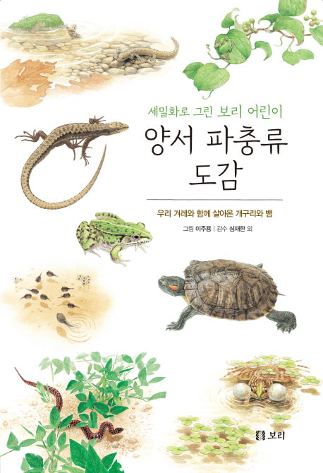 양서 파충류 도감(보급판)(세밀화로 그린 보리 어린이 7)