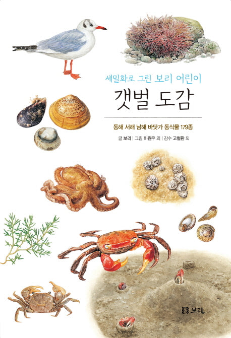 갯벌 도감(보급판)(세밀화로 그린 보리 어린이 8)