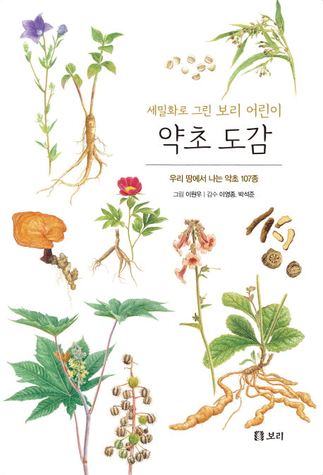 약초 도감(보급판)(세밀화로 그린 보리 어린이 12)