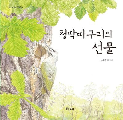 청딱따구리의 선물(보리 어린이 그림책 3)(양장본 Hardcover)