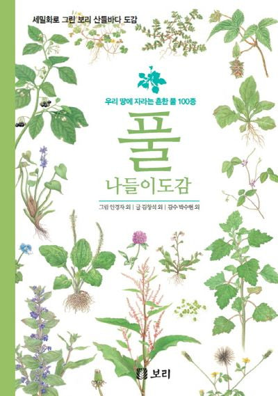 풀 나들이도감(세밀화로 그린 보리 산들바다 도감)