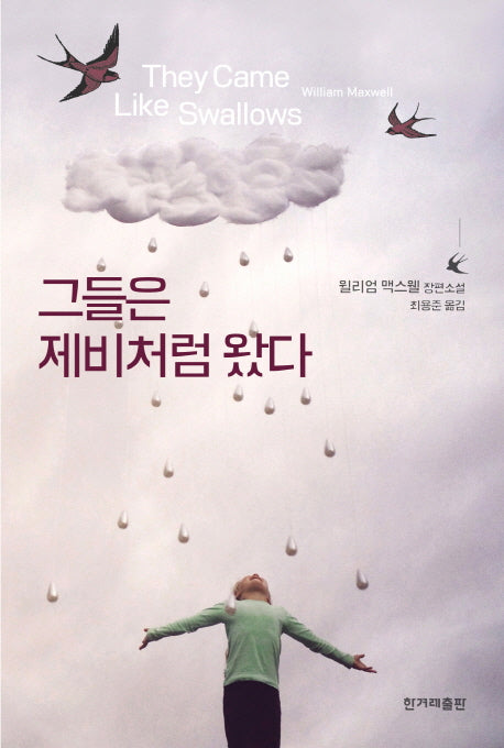 그들은 제비처럼 왔다