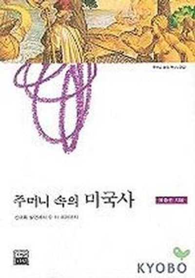 주머니 속의 미국사