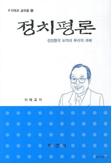정치평론(이태교 글모음 1)