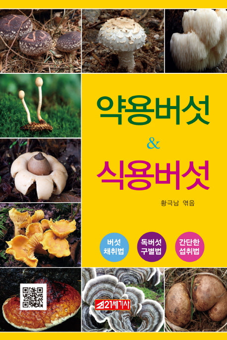 약용버섯 & 식용버섯