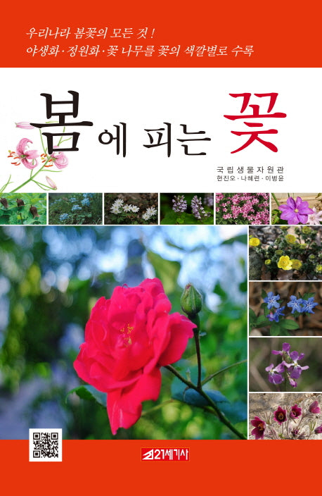 봄에 피는 꽃