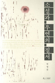 소설과 우연의 질서