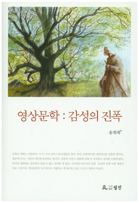 영상문학: 감성의 진폭