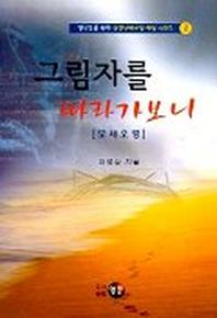 그림자를 따라가보니(모세오경)(평신도를 위한 성경난해구절 해설 1)