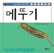 메뚜기(베틀북 사이언스 5)(양장본 HardCover)