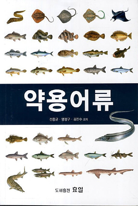 약용어류