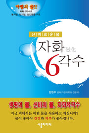 자화 6각수(개정증보판)