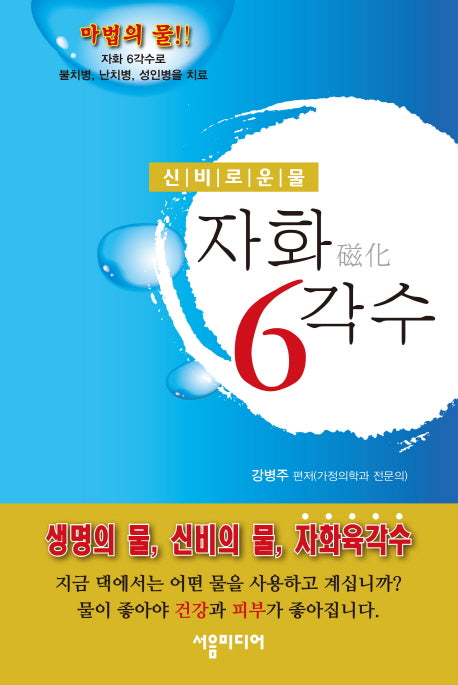 자화 6각수(개정증보판)