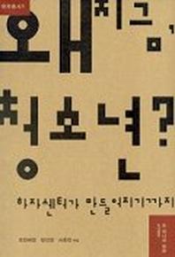왜 지금 청소년(하자총서 1)