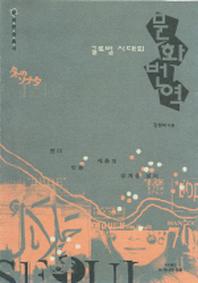 글로벌 시대의 문화번역(문화현장총서)