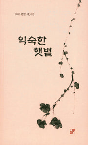 익숙한 햇볕