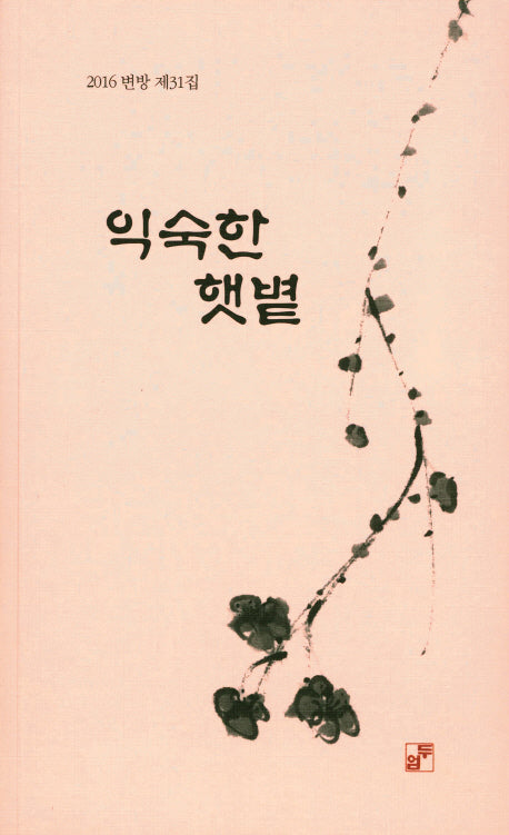익숙한 햇볕