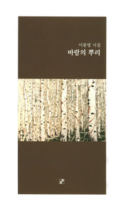 바람의 뿌리