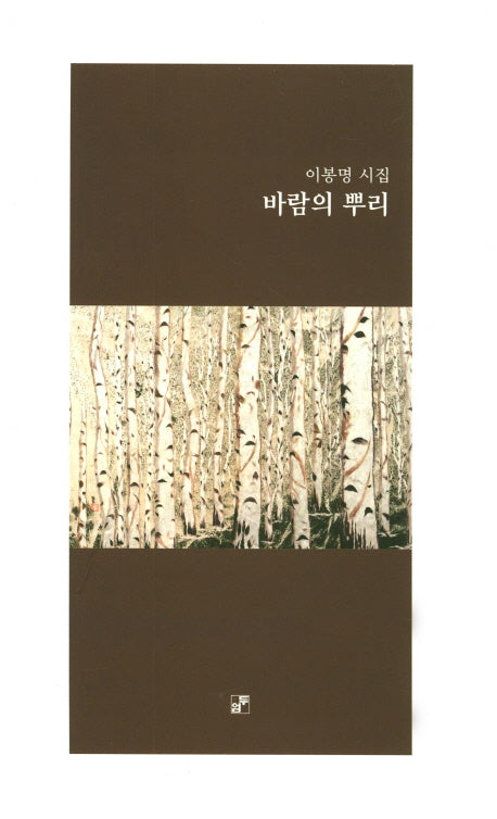 바람의 뿌리