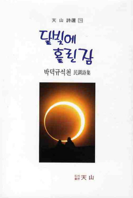 달빛에 홀린 잠(천산시선 76)