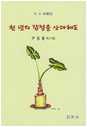 천 년의 갑절을 산다해도(천산 시선 98)