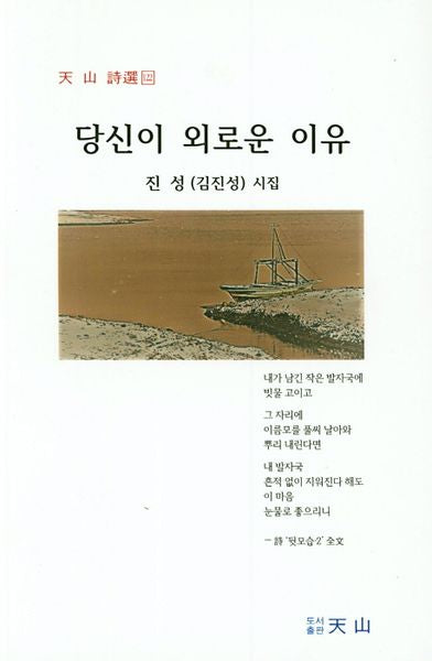 당신이 외로운 이유(천산시선 122)