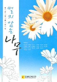 떨지않는 나무
