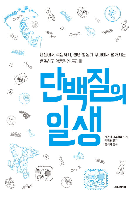 단백질의 일생