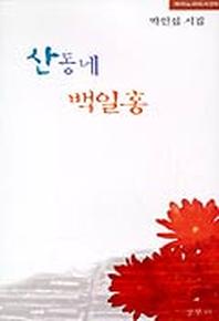 산동네 백일홍