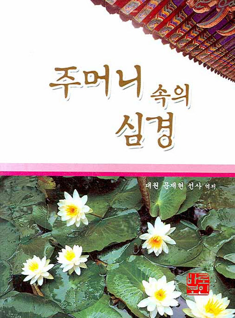주머니 속의 심경(포켓북(문고판))