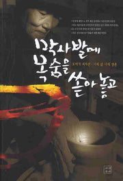 막사발에 목숨을 쏟아 놓고