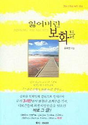 잃어버린 보화들