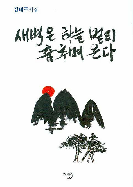 새벽은 하늘 멀리 춤추며 온다(양장본 Hardcover)