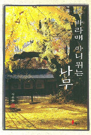 바라매 아니뮈는 나무(양장본 HardCover)