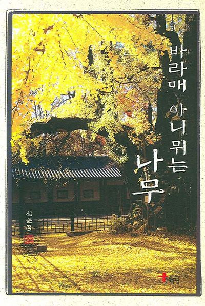바라매 아니뮈는 나무(양장본 HardCover)