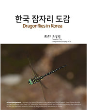 한국 잠자리 도감