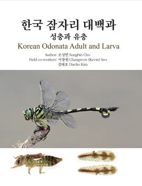 한국 잠자리 대백과