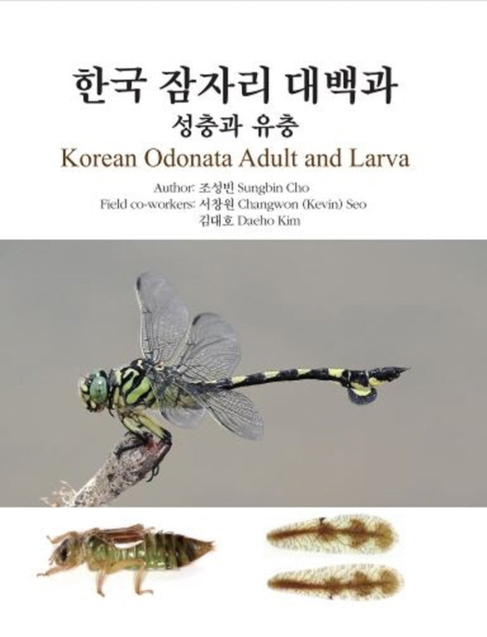 한국 잠자리 대백과