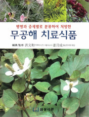 무공해 치료식품(병명과 증세별로 분류하여 처방한)