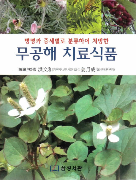 무공해 치료식품(병명과 증세별로 분류하여 처방한)