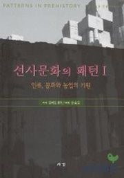 선사문화의 패턴 1