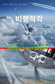 비행착각
