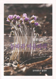 눈따라 마음따라