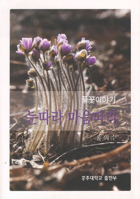 눈따라 마음따라