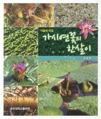 가시연꽃의 한살이(식물의 비밀)